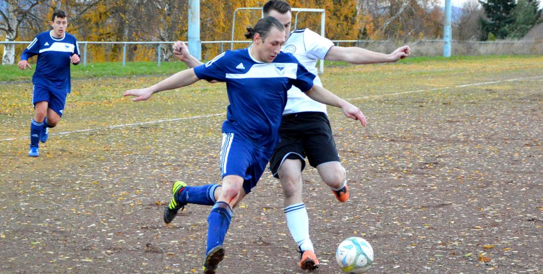 Plaidter Adler betreiben Wiedergutmachung