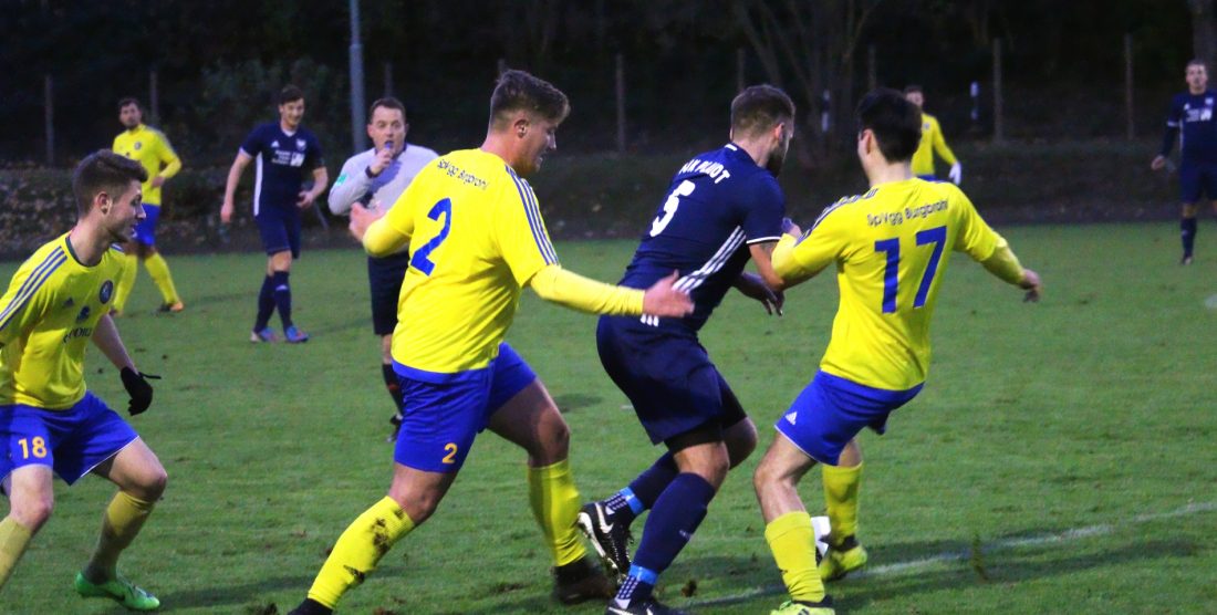 Maximalausbeute für die Plaidter Adler