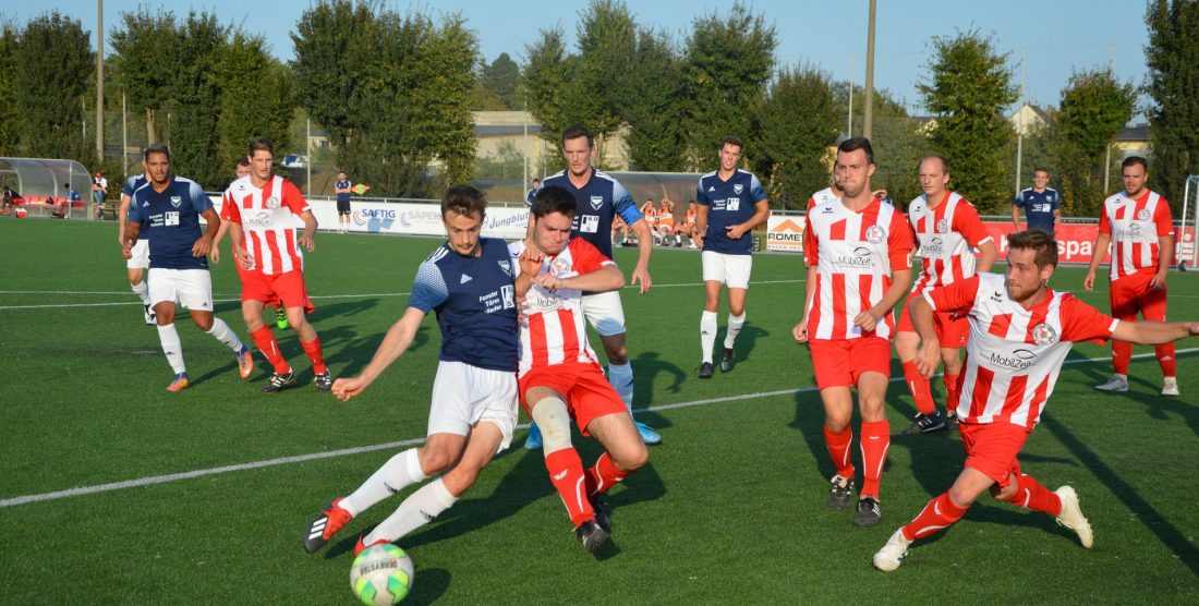 Perfekte Ausbeute der Adler